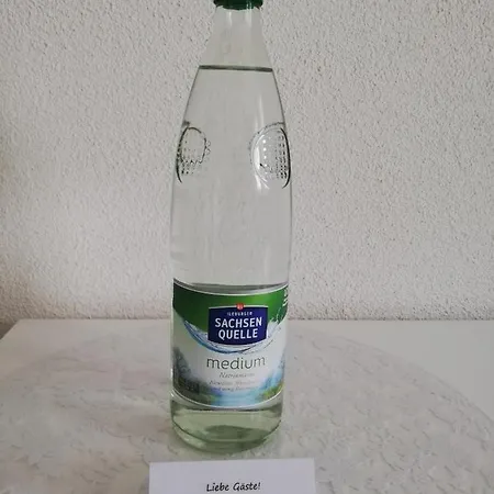 Winter Гостевой дом 3*